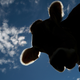 Pictured: A cow. (Photo credit: Miguel Villagran/Getty Images)